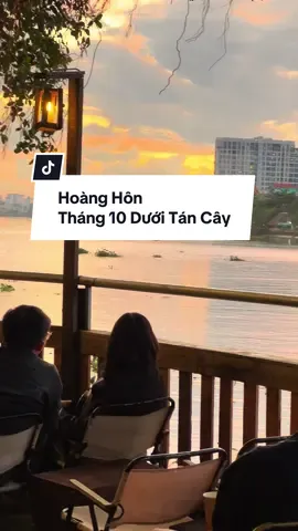 Điểm hẹn hò ngắm Hoàng Hôn chỉ từ 33 xu #tiemcapheduoitancay #duoitancay #duoitancaybinhthanh #hoanghon #henho 