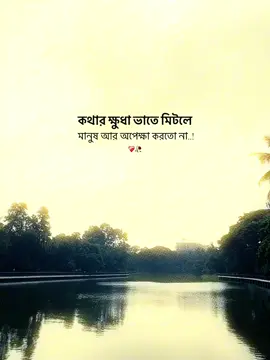 কথার ক্ষুধা ভাতে মিটলে মানুষ আর অপেক্ষা করতো না..!😅❤️‍🩹#foryoupage❤️❤️ #foryoupageofficial #trendingtiktok #grow #fypシ゚viral @TikTok @TikTok Trends 