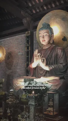 Hãy tin vào sự tử tế của chính mình #nammoadidaphat #nammobonsuthichcamauniphat 
