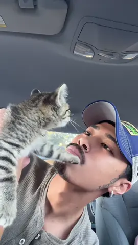 Start of week 3: She getting spayed, I can’t have city girl Pig Feet out there poppin her 🐱 for the streets 