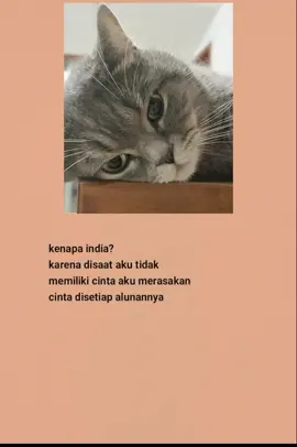#katakatasedih #katakatabijak #fyp #viral #laguindia 