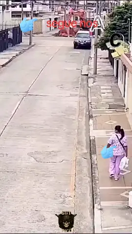 segue nos 