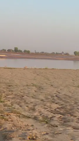 #duniya se chura ke tuiy # Haris bahi#viralvideo #translation #more ...