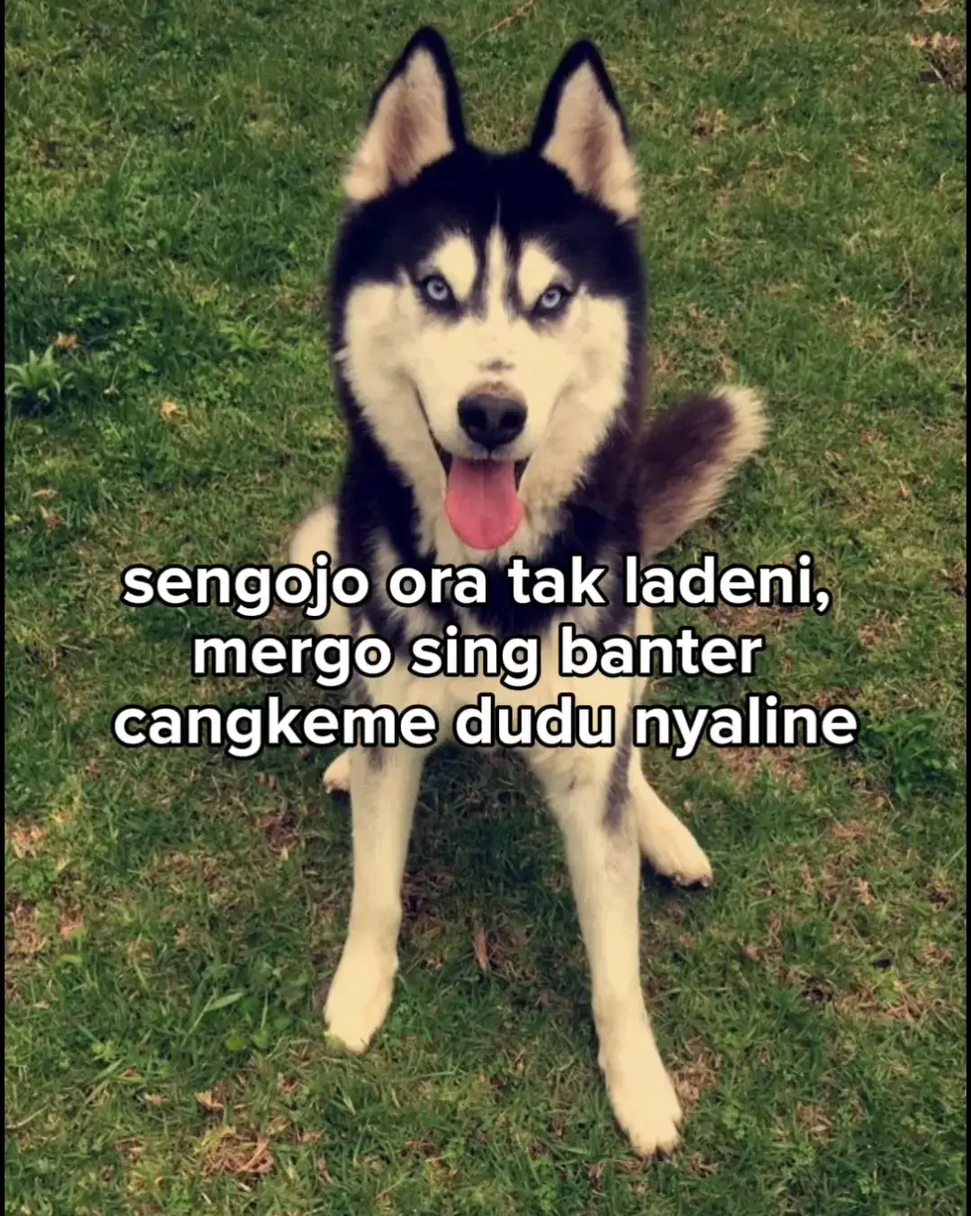 #fyp #baperskip #bahanswmu #sidoarjo24jam 