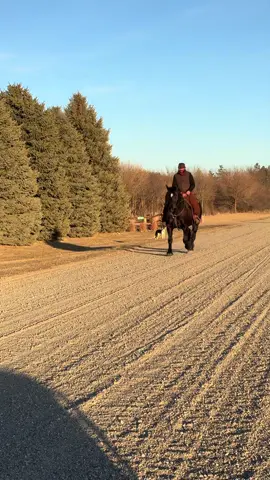 Ride Ben ride!  #vetlife #vet #nebraska #heartlanddocsdvm 