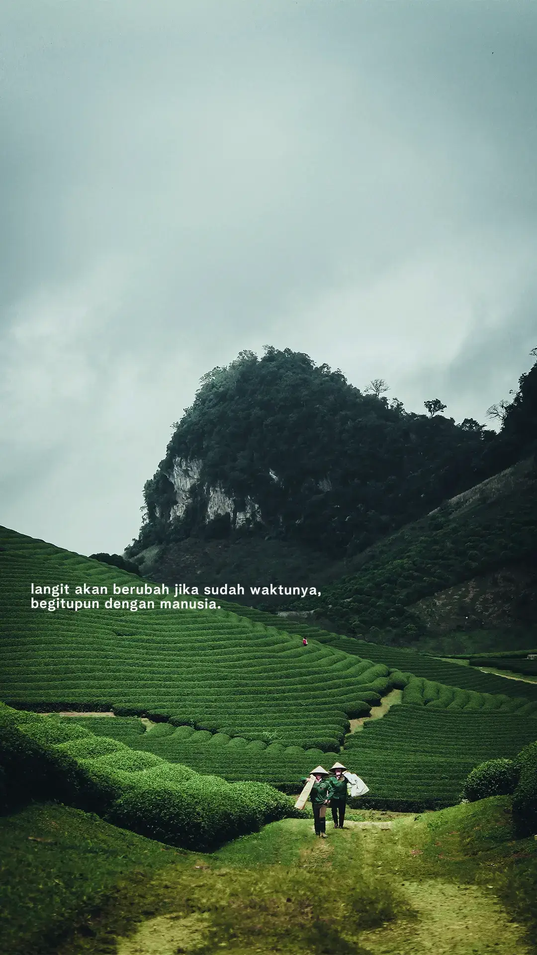 Bahan-bahan📝 :  3 butir telur ayam 15 sdm air 1/2 sdt lada bubuk 1 sdt garam 1/2 sdt penyedap (masako) 20 tusuk sate Cara Membuat 🥢 : 1.Siapkan bahan. Campurkan semua bahan dalam wadah, kemudian kocok hingga berbusa. 2.Pindahkan ke botol kecap. Panaskan minyak goreng RISE BRAND agak banyak. 3.Semprotkan telur ke minyak panas, tunggu sebentar kemudian gulung dari samping, goreng sampai kecoklatan, tiriskan. Lakukan sampai habis. 4.Siap disajikan dan selamat menikmati. Selamat mencoba!!! #katakata #4u #storytime #fyppppppppppppppppppppppp #xzyabc 