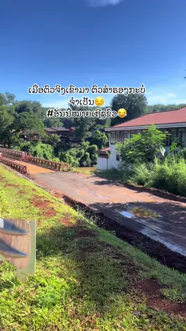 #ສາວຂົວທາງ👷🏻‍♀️ #ໂຄງການກໍ່ສ້າງຂົວຈຳປາສັກສາລະວັນ #ໂສດ 
