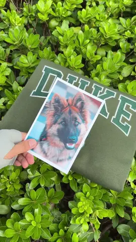 Perfect gifts for pet lover!!!
