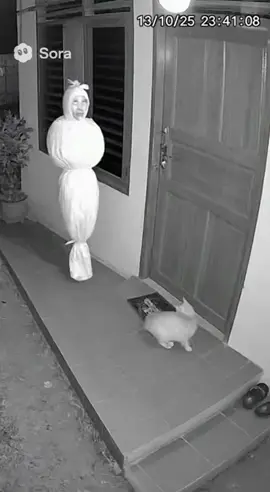 Untung ada oyen 😱 #penampakanpocong #sora  #editing 