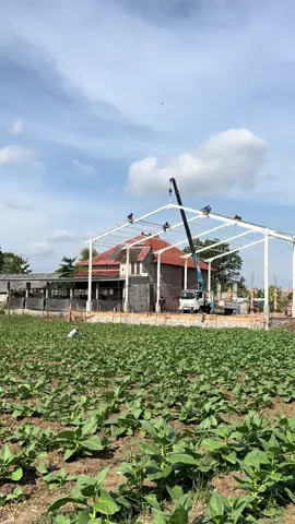 Putih bersih #muliajayasteel #kontruksi #gudangwf #baja #viral 