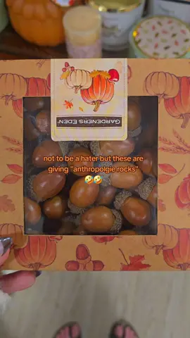 im sorry these are cute but you could get like 10 packs of these straight from your backyard 🤣🤣 they are cute though #homegoods #thanksgivingdecor #homegoodsfinds #funny #fypシ 