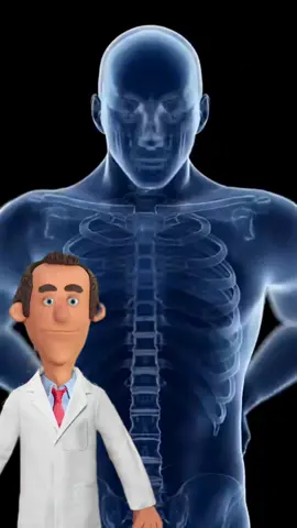 o que nervo ciático? #creatorsearchinsights #saude #medico #ciatica #ciaticainflamada @Dr. Pílula Sincera 