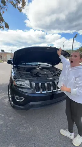 I thought the cat distribution system was an urban legend…  #catsoftiktok #fypシ #foryoupage 