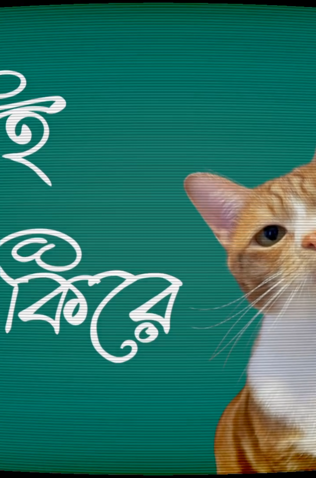 ওই কিরে 🤨 #foryou #vairal #trending #tiktok #copylink @TikTok @For You @-`♡´- @𝙱𝙳 𝙿𝙴𝚁ꫝꪾ𝙳𝙾𝚇 亗 