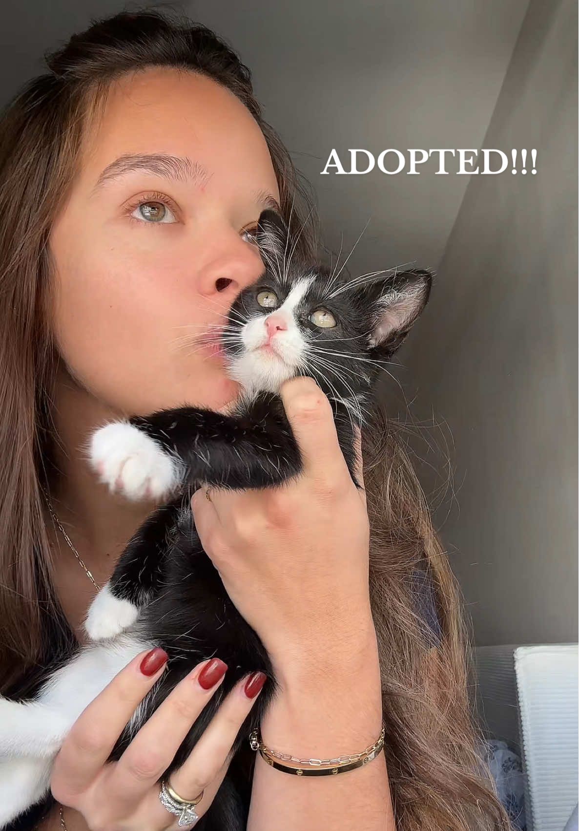 Update, his owner is so happy with him & said they cuddled all night his first night there😭 he's so loved!!! If you're looking to foster/adopt reach out to @Miami Animal Rescue🐾 💙#fyp #fostering #fosterkittens #catsoftiktok 