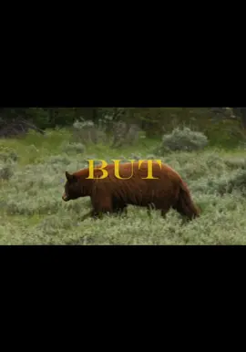 First edit #grandtetons #grandtetonnationalpark #edit #fyp #viral