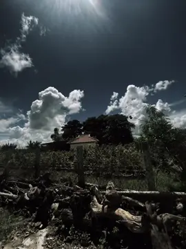 “花朵只有在有人浇水时才会绽放 我只有站在我爱的人面前时才会微笑” 