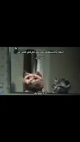 #explore #fypシ #4u 