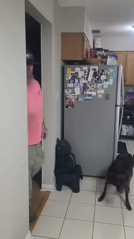 FASTEST IN THE WORLD @Coldsteel @Calculated Survival 