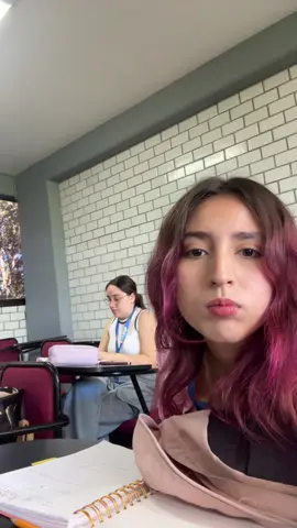 Ya no se q subir subire a la paula todos los dias #paula 