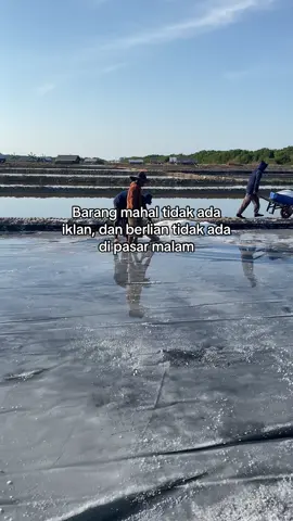 #madurapride #fyp #petanimuda #petanigaram #tambakgaram #garammadura #garam #garampamekasan #desapandan #wawanisme 