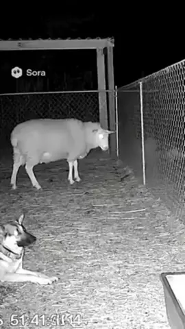 #duet with @Ƴ   u   ℜ 