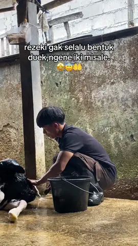 ngene iki yo termasuk rejeki 😇