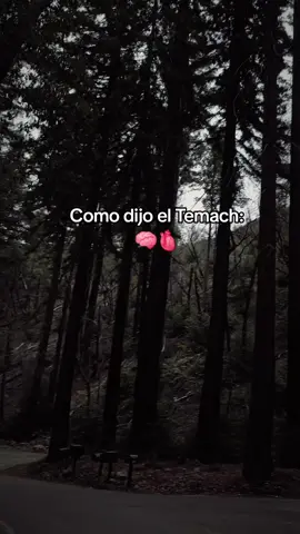 El No Se Equivoco #themach #motivation #mentepositiva #viral #follow 