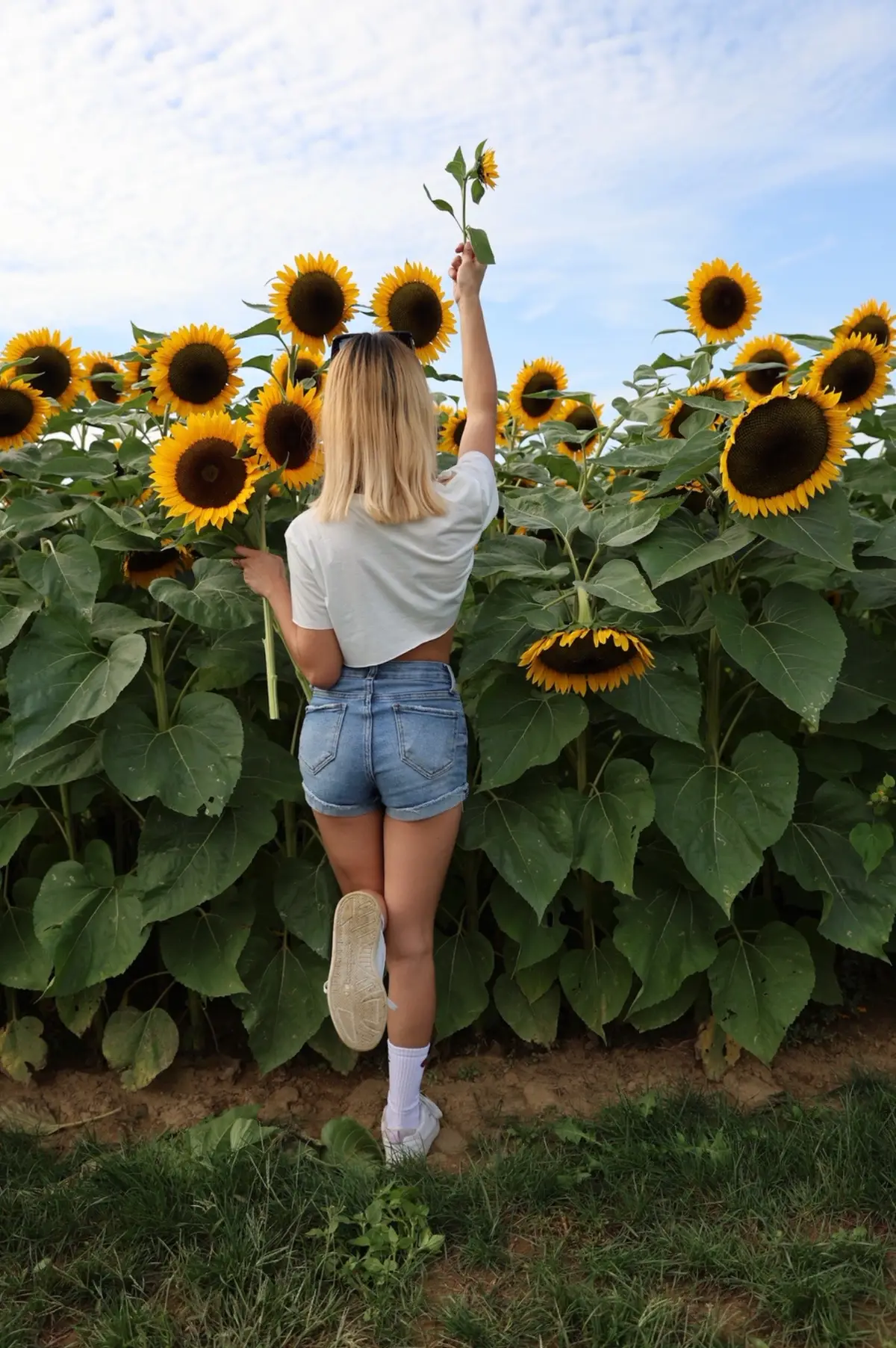 #girasoles 🌻 #fotos #parati #recuerdos #🥹 