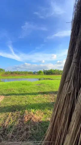 🇧🇩❤️ #foryoupage #viralvideo #nature #village #bluesky 