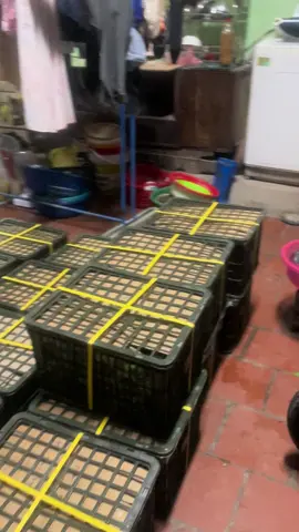 Cố gắng kiếm tiền 