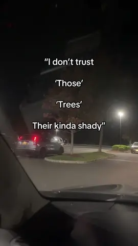 #why #are #those #trees #shady