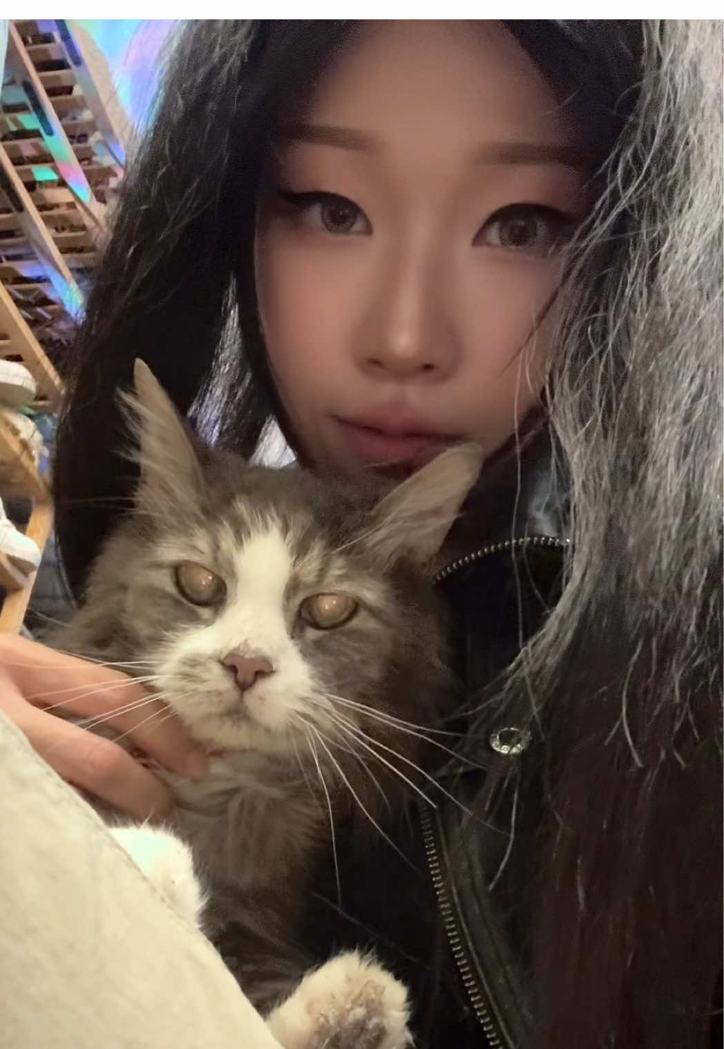 💕 #cat #meow #cute #kawaii #pet 