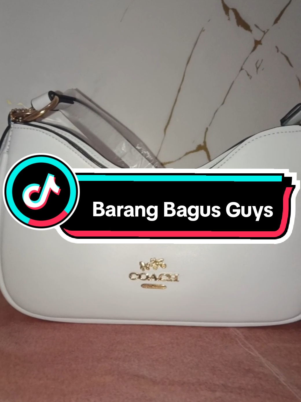 yang mau link buat CO nya nanti aku kasih tau  #taswanita #taskekinian #tampilstylish #coach 