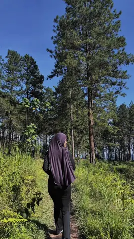 jatoh 