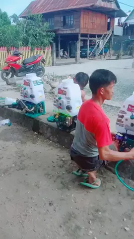 mode pengetesang