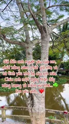 Gửi đến anh…🥰 #xuhuong #tinhyeu #ngoailecuaem #viraltiktok #baclieu 