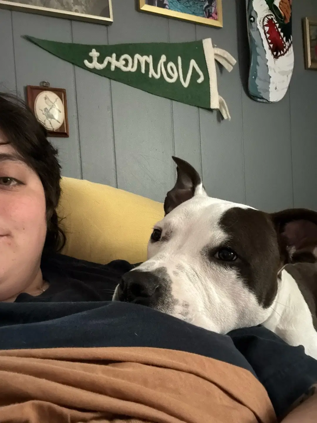 I know Layla loves me, but the way pits show their affection is absolutely unmatched. These guys are so snuggly and make me absolutely melt. I’ve wanted a pit my whole life, and now i have gotten to love so many pit mixes that have come for a stay in our home 🫠🥹❤️ #pitbullsoftiktok #dontbullymybreed #puppytiktok 