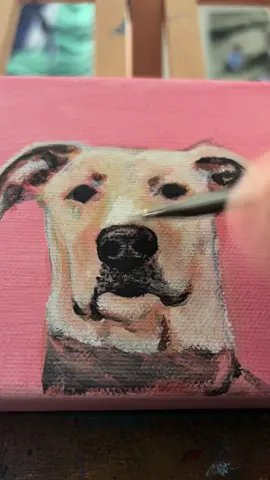 Paint with me! etsy~ alexamarieartss  Link in bio & my insta☺️  . . .. #fyp #art #etsyshop #petportrait #petportraitartist #artistsoftiktok 