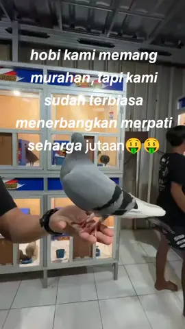MAHAL DIKIT KAN BISA OM🥵🥵#swmerpati #fypage #viralvideo #fyppppppppppppppppppppppp 