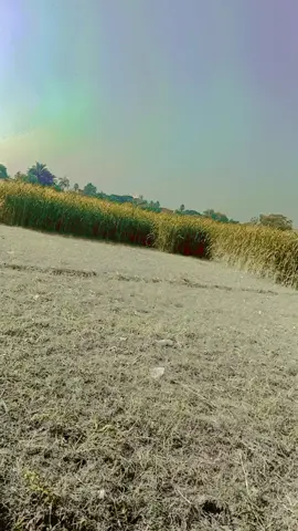 Hmm...😊♥️🥰💛#foryou #foryoupage #unfreezemyacount #growmyaccount #viewsproblem @tiktok creators @TiktokPakistanOfficial 