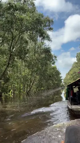Cảnh ở Tràm Chim thật bình yên ❤️❤️❤️