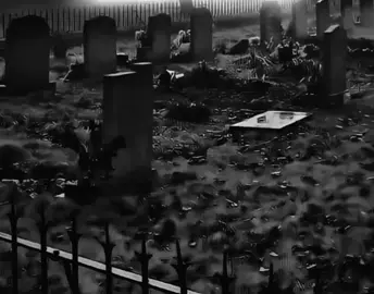 #Reposted My video friends🌹 +views problem  #newaccount #unfreez #tiktokpakistan #Hadiqaeditx