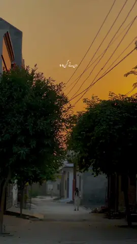 دن تے گِن میں مرجانا اِئ تیرے بِن میں مرجانا اِئ  میں گُڈی دے کاغذ ورگا تو کِن مِن میں مرجانااِئ (R3POST R3QUEST 🫠 ) #fyp #foryou #trending #viral #explore 