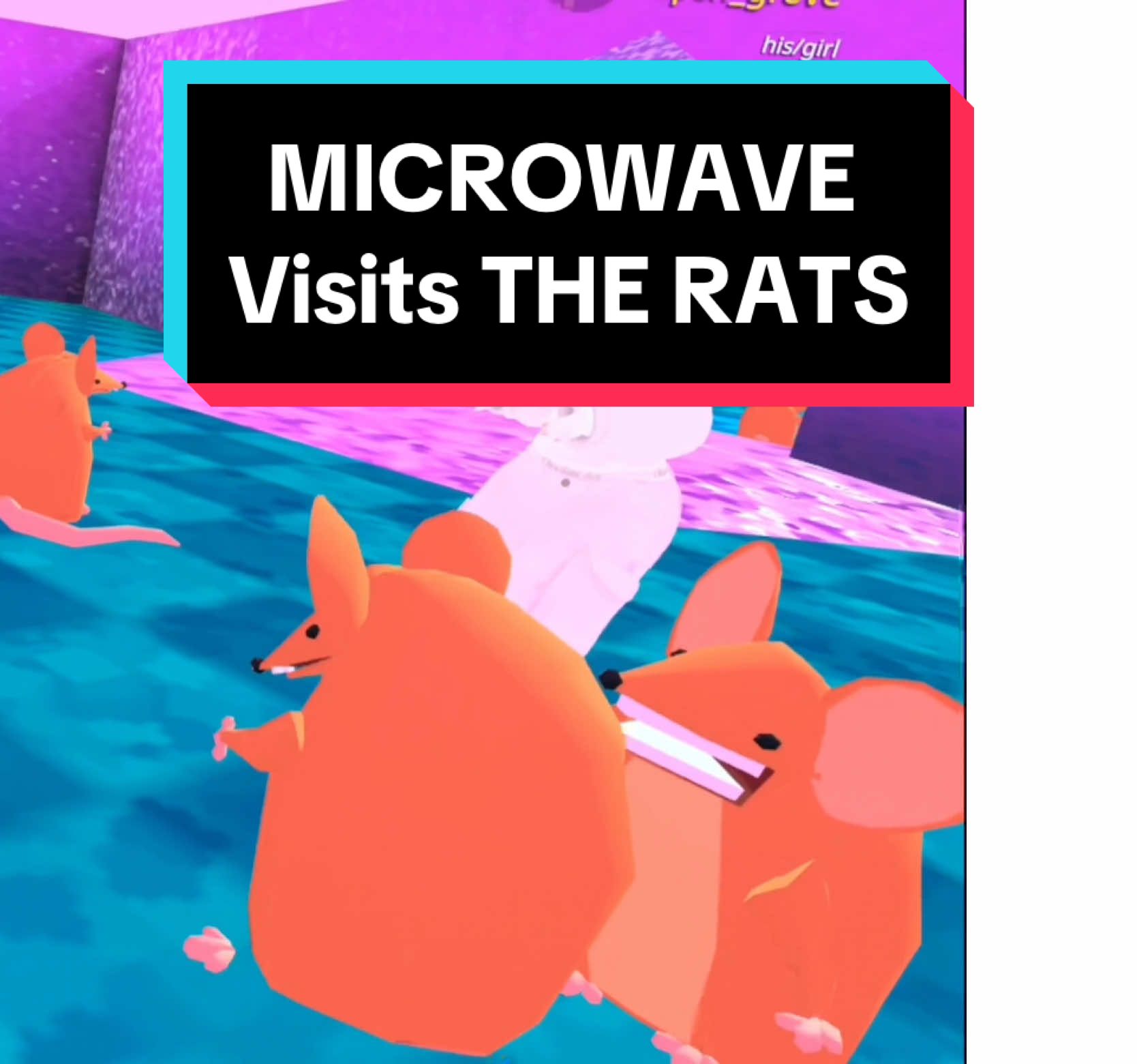 MICROWAVE Visits THE RATS W/@‧͙⁺˚*･༓☾ 𝑎𝑠𝑝𝑒𝑛 ☽༓･*˚⁺‧͙ #vrchat #vrrat #rat #vrc #dancingrat 