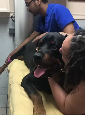 Goodbyes are so hard🥹😭😭#doglove #dog #tiktok #usa 