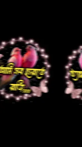 #tiktok #vairalvideo #foryou #foryoupage #tending @🥀ইচ্ছে পাহাড়🥀 @✿•𝄞✤SADIYA❥❥•𝄞✤ 