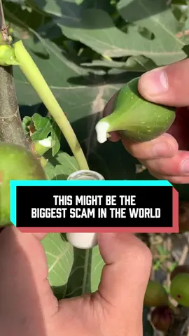 #eating #delicious #foodtiktok #cooking 