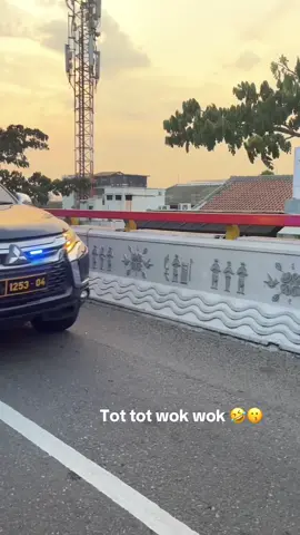 #strobo #arogan #fy #viral #police 