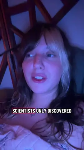 Brain facts before bed #fyp 